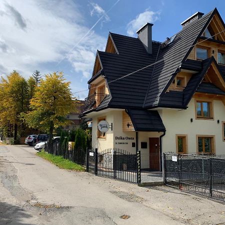 Dzika Owca Apartman Zakopane Kültér fotó