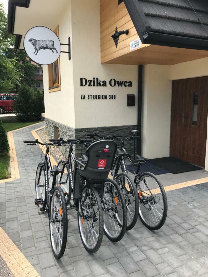 Dzika Owca Apartman Zakopane Kültér fotó