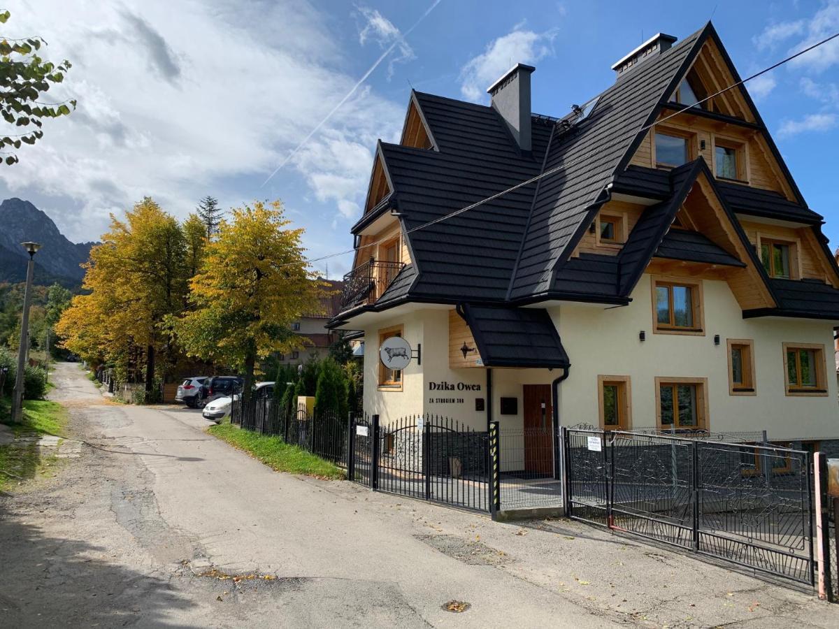 Dzika Owca Apartman Zakopane Kültér fotó